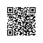 Y145381R0000T9L QRCode