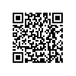 Y16241K00000T0W QRCode