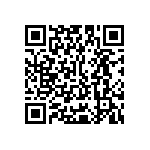 Y16241K25000T9R QRCode