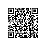 Y16241K60000T9W QRCode