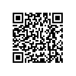 Y16242K20000T9R QRCode