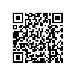 Y16242K40000T9W QRCode