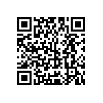 Y16245K11000B9R QRCode