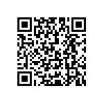 Y162510K0000T9R QRCode