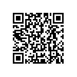 Y162511K5000B0R QRCode