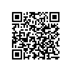 Y16251K60000T9W QRCode