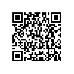 Y16251K87000T9R QRCode