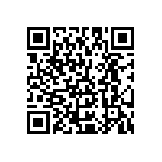 Y16252K80000B24R QRCode