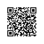 Y16252K80000T9R QRCode