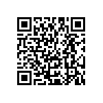 Y16253K48000B24W QRCode