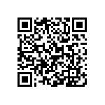 Y16256K80000Q0W QRCode