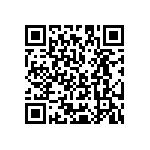 Y162875K0000T15W QRCode