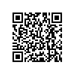 Y16291K05000T9R QRCode