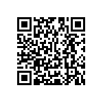 Y16291K20000T0W QRCode