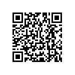 Y16291K20000T9R QRCode