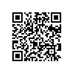 Y163025K0000T9R QRCode