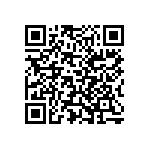 Y163310K0000T0W QRCode