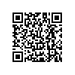 Y17281K00000T0L QRCode