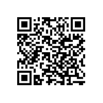 Y17451K38290Q0L QRCode