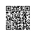 Y17451K80000B2R QRCode