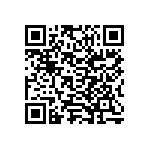 Y17453K33330Q0L QRCode