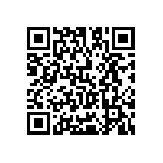 Y1753500K000T9L QRCode