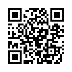 0201333 QRCode