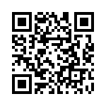 0295060-T QRCode