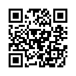 0295100-T QRCode