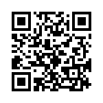 0299070-L QRCode