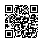 031-2381 QRCode