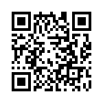 0387291304 QRCode