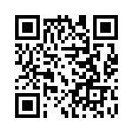 0438100101 QRCode