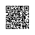 0505Y1005P60BQT QRCode