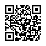 085041001300 QRCode