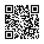 09120213101 QRCode