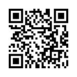 09153005411 QRCode