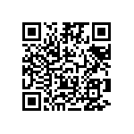 09185166913001 QRCode