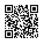 09300161290 QRCode