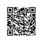 09551663815741 QRCode