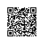 09551663819741 QRCode