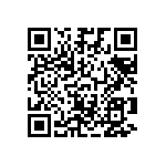 09551667816741 QRCode