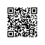 09552566613741 QRCode