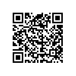 09552663819741 QRCode