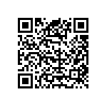 09553567615741 QRCode