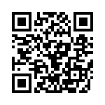 09670500411 QRCode