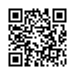 1-120528-1 QRCode