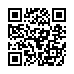 1-1705951-1 QRCode