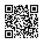 10-42022-19P QRCode