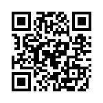 100132-1 QRCode